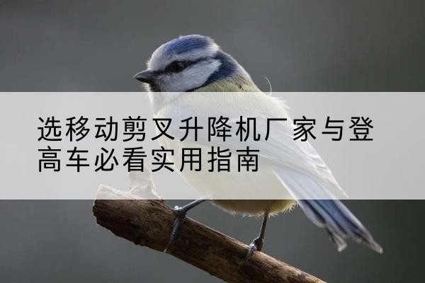 连州电动升降机厂家-选移动剪叉升降机厂家与登高车必看实用指南