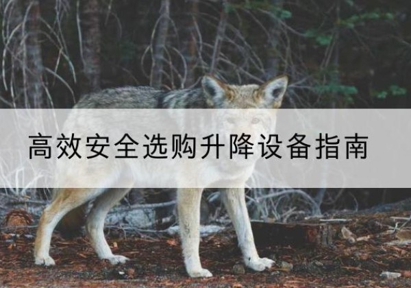 连州升降货梯厂家推荐-*安全选购升降设备指南